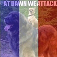 Nancy Reece Photo 20