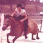 Susan Milligan Photo 7