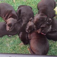 Jeanette Murphy Photo 14