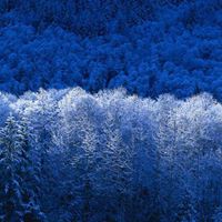 Kevin Fraser Photo 31