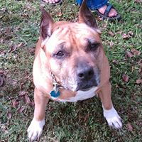 Theresa Powers Photo 20