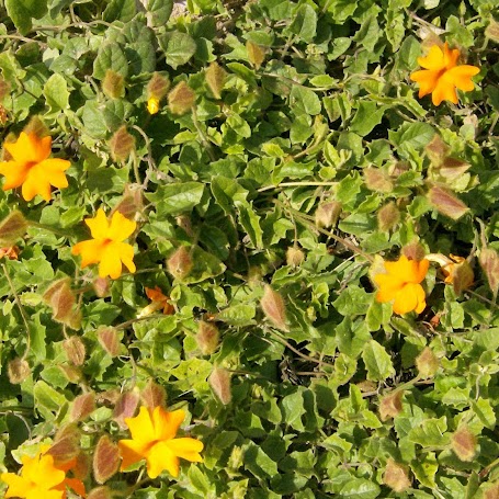 Cheryl Burns Photo 9