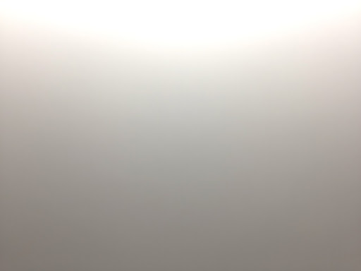 Barry Vaughn Photo 18