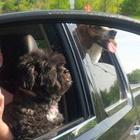 Angela Prosser Photo 19