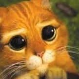 Roberta Ford Photo 10