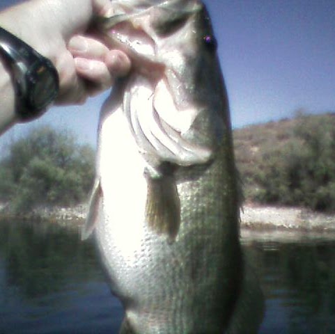 Michael Ricks Photo 16