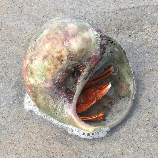 Brian Sylvester Photo 28