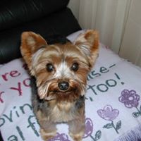 Charlotte Vaughan Photo 14