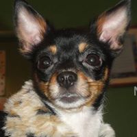 Bridget Wolfe Photo 8