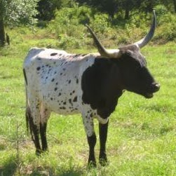 Marcia Peterson Photo 20