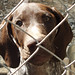 Judith Rice Photo 34