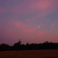 Maxine Green Photo 6