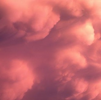 Robert Prince Photo 36