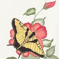 Linda Kidd Photo 18