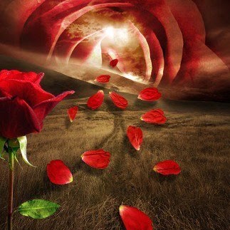 Marie Mclaughlin Photo 12