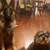 Christie Collins Photo 10