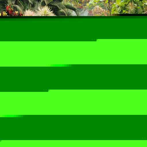 Kathy Phillips Photo 16 Kathy Phillips Photo 16