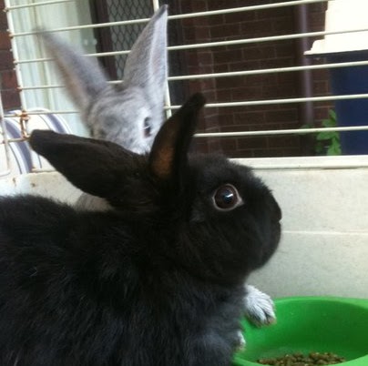 Katharine Sullivan Photo 14