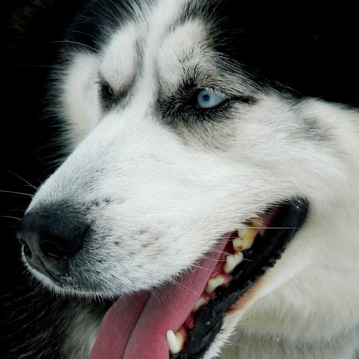 Catherine Goulet Photo 6