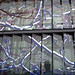 Kathryn Shield Photo 9