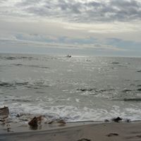 Nancy Moyer Photo 4