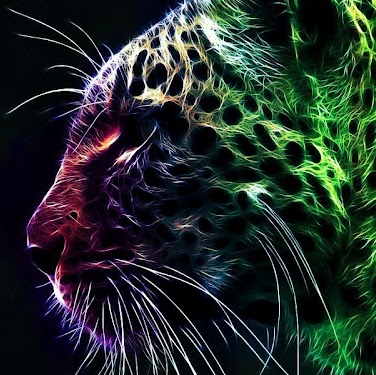 Michael Dimick Photo 10