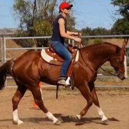 Ellen Davidson Photo 44