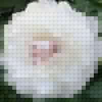 Ellen Jordan Photo 14