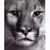 Lorraine Gray Photo 28