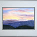 Sharon Schenk Photo 17