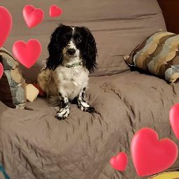 Lisa Villanueva Photo 23