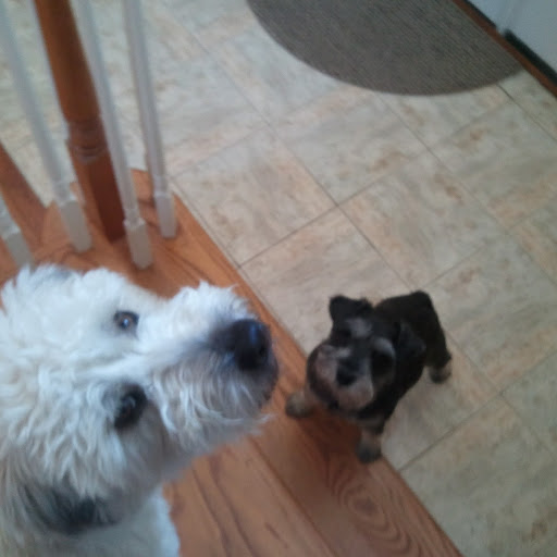 Ruth Ashby Photo 7 Ruth Ashby Photo 7