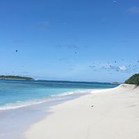 Donna Marsh Photo 17