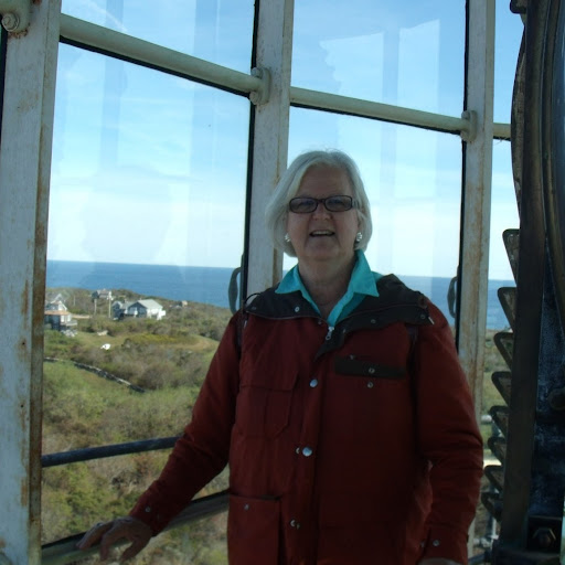 Sandra Healey Photo 6