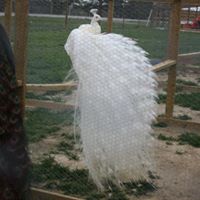 James Griffith Photo 27 James Griffith Photo 27