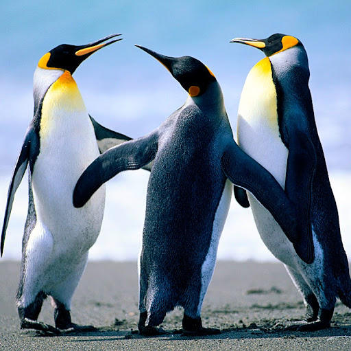 Bridget Moore Photo 5