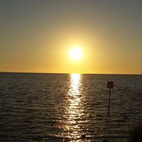 Darlene Wolfe Photo 31