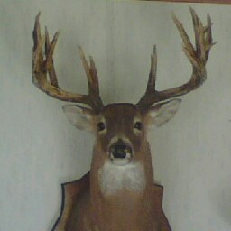 James Brannan Photo 33 James Brannan Photo 33