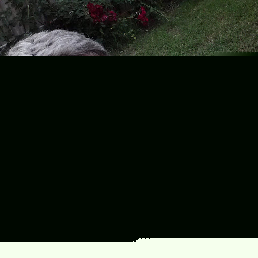 Bryan Shultz Photo 21