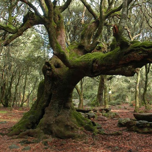 Andrea Wood Photo 10