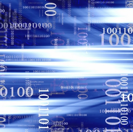 Chien Nguyen Photo 15