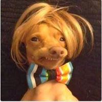 Kevin Purcell Photo 17