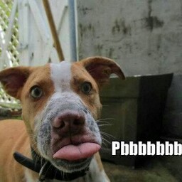 William Hoover Photo 47