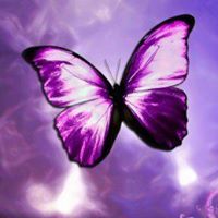 Debra Worthington Photo 4