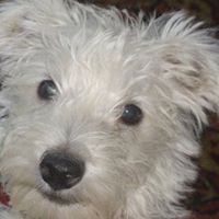 Janet Holland Photo 6 Janet Holland Photo 6