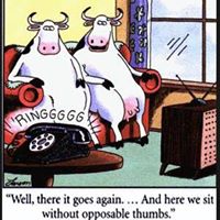 Jennifer Deyoung Photo 13