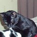 Debbie Bradford Photo 27