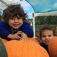Susan Stockstill Photo 6