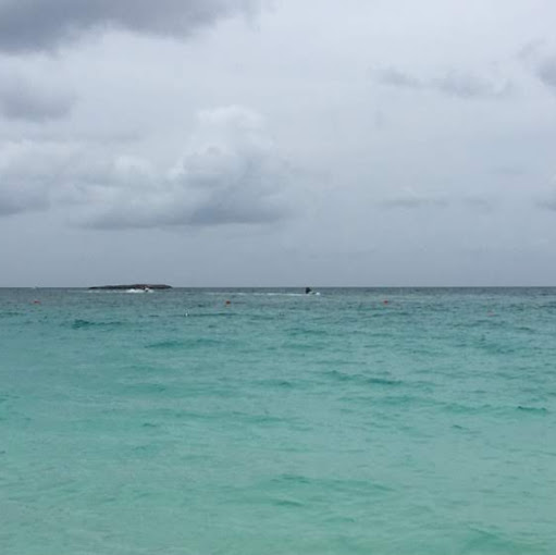 Jackie Williamson Photo 20