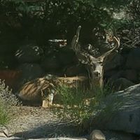 Gerald Jensen Photo 12